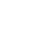 The Urology Foundation