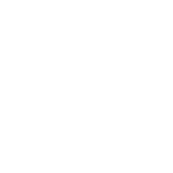 Veterans With Dogs
